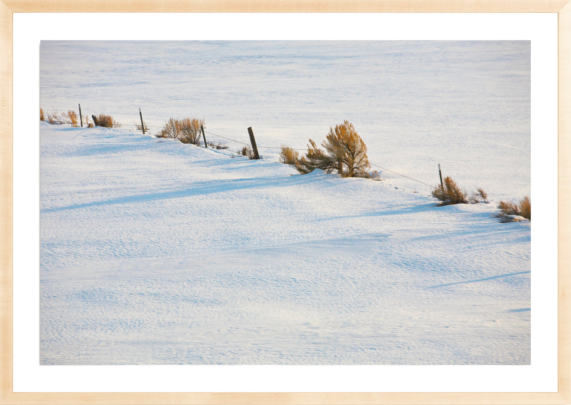 Wind Swept, Jules Frazier Fine Art Photograph