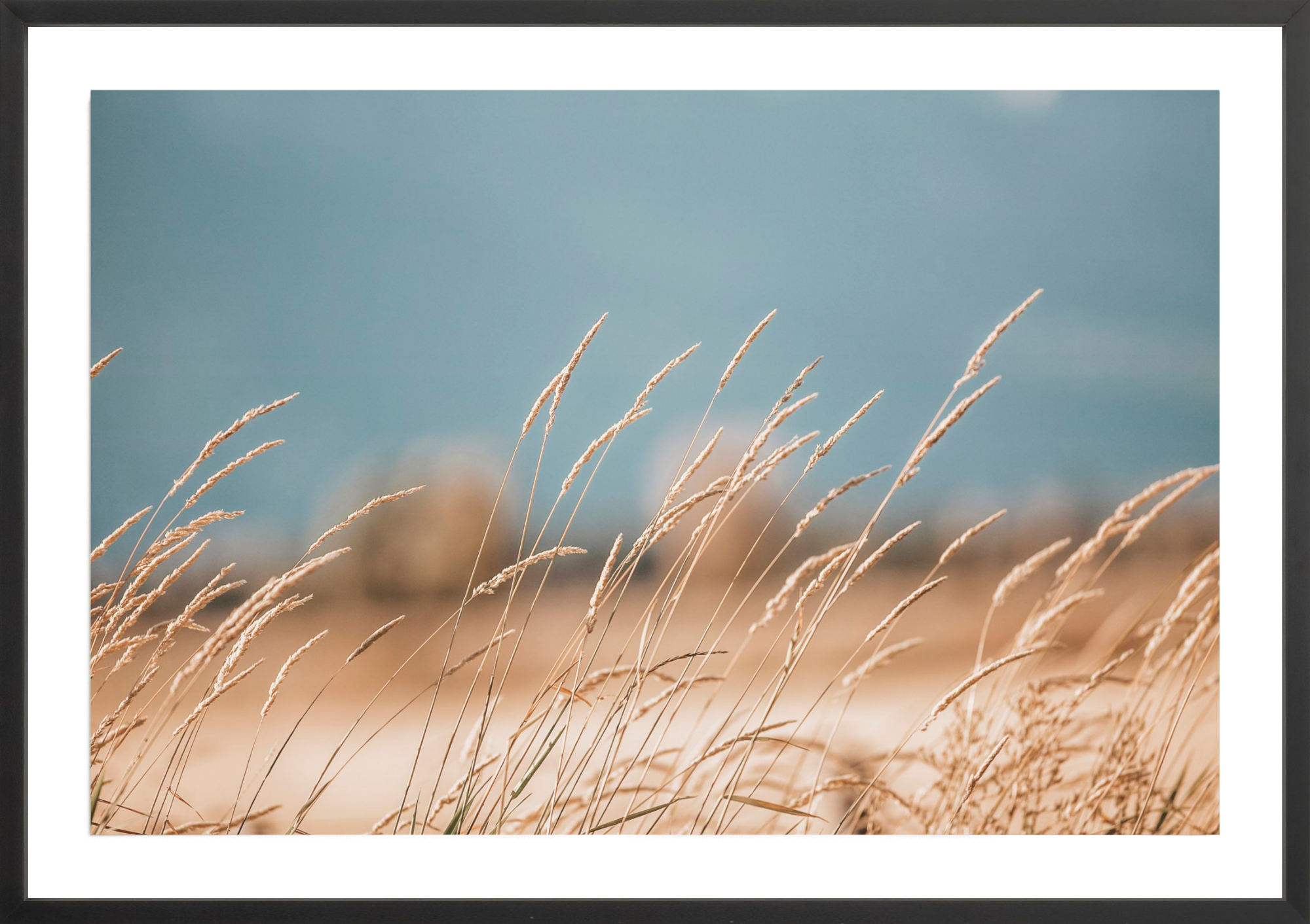 Grass of Yellowstone, Jules Frazier Fine Art Photograph
