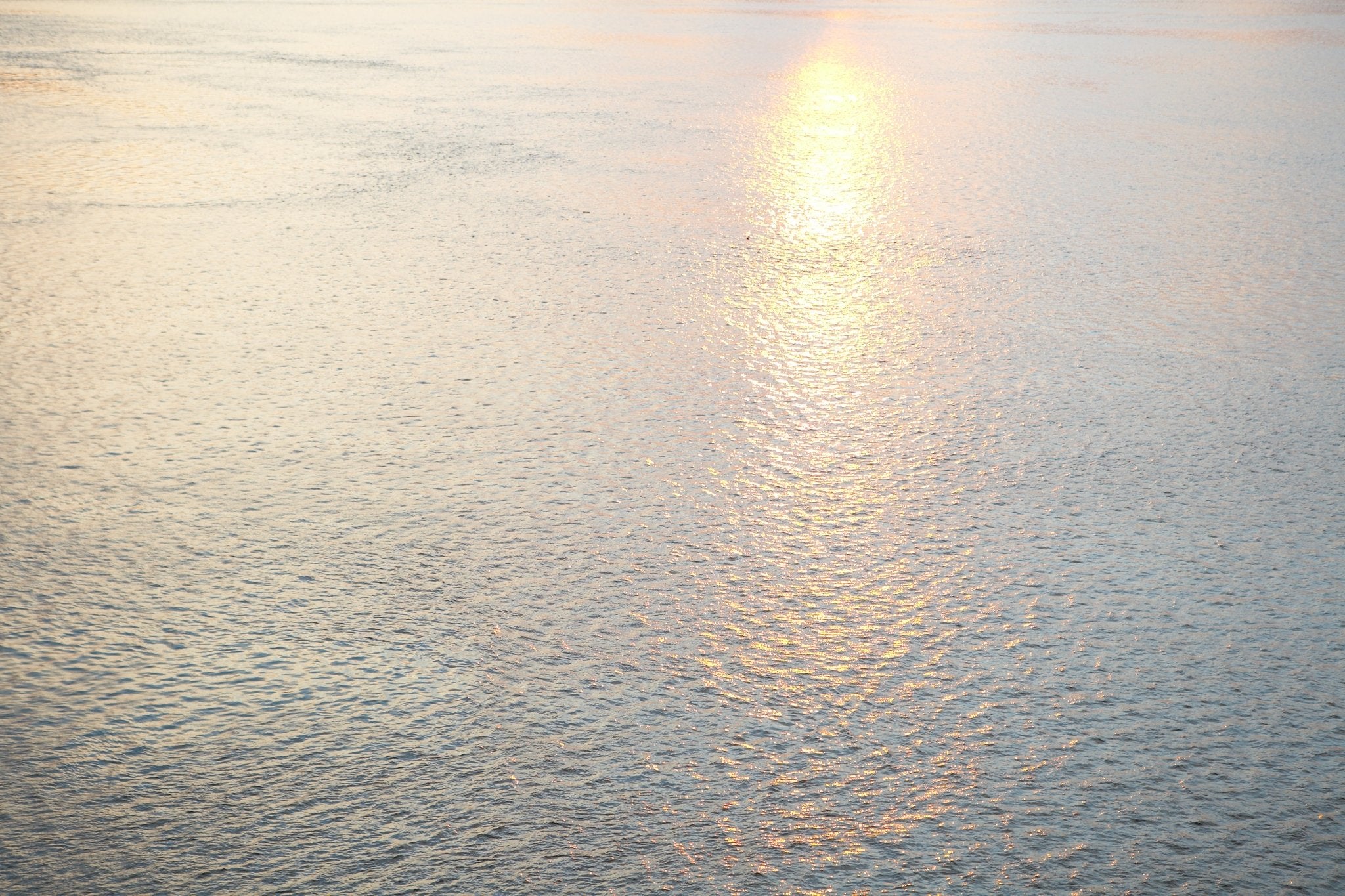 Glisten, Jules Frazier Fine Art Photograph
