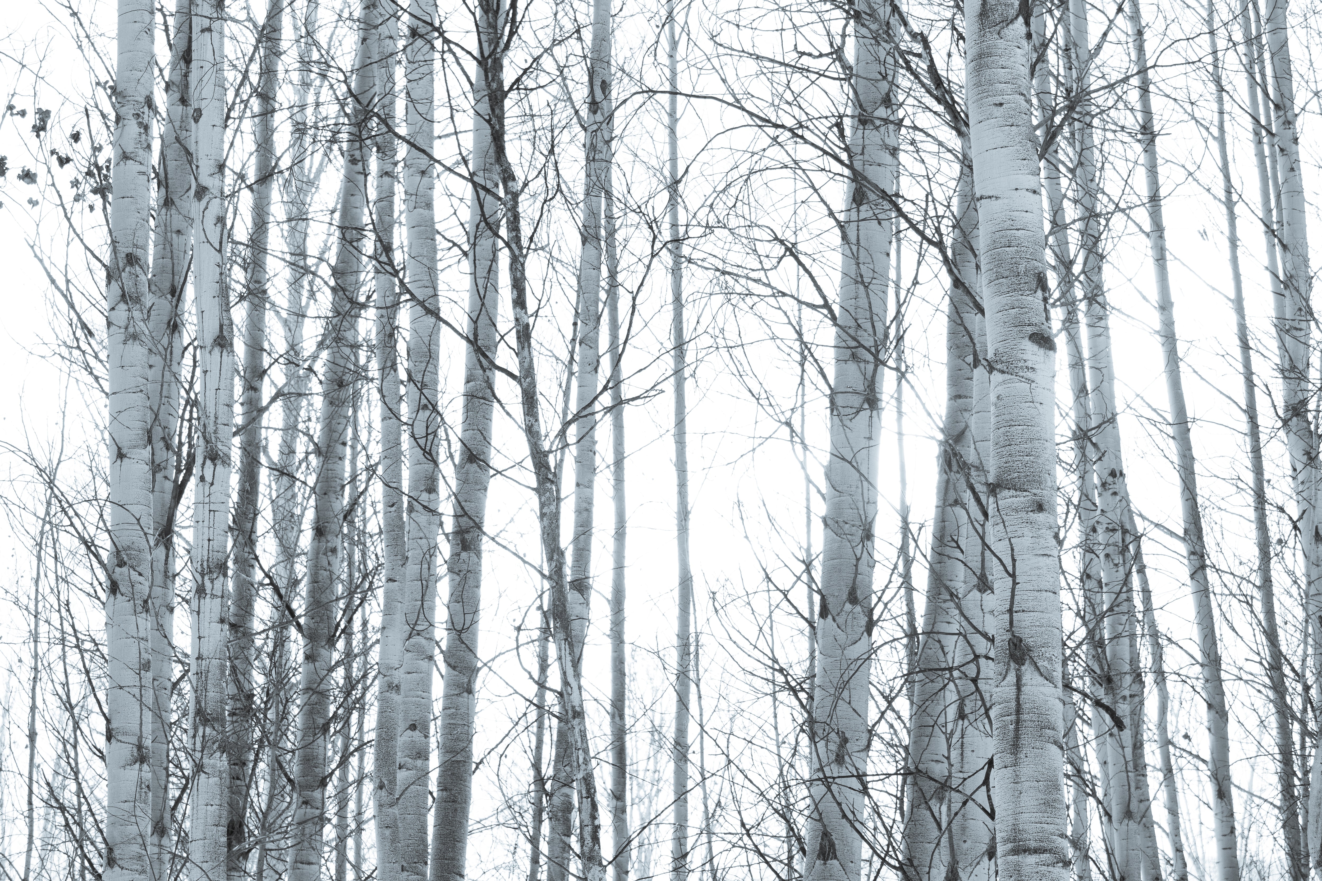 In Your Eyes, Jules Frazier Fine Art Photograph