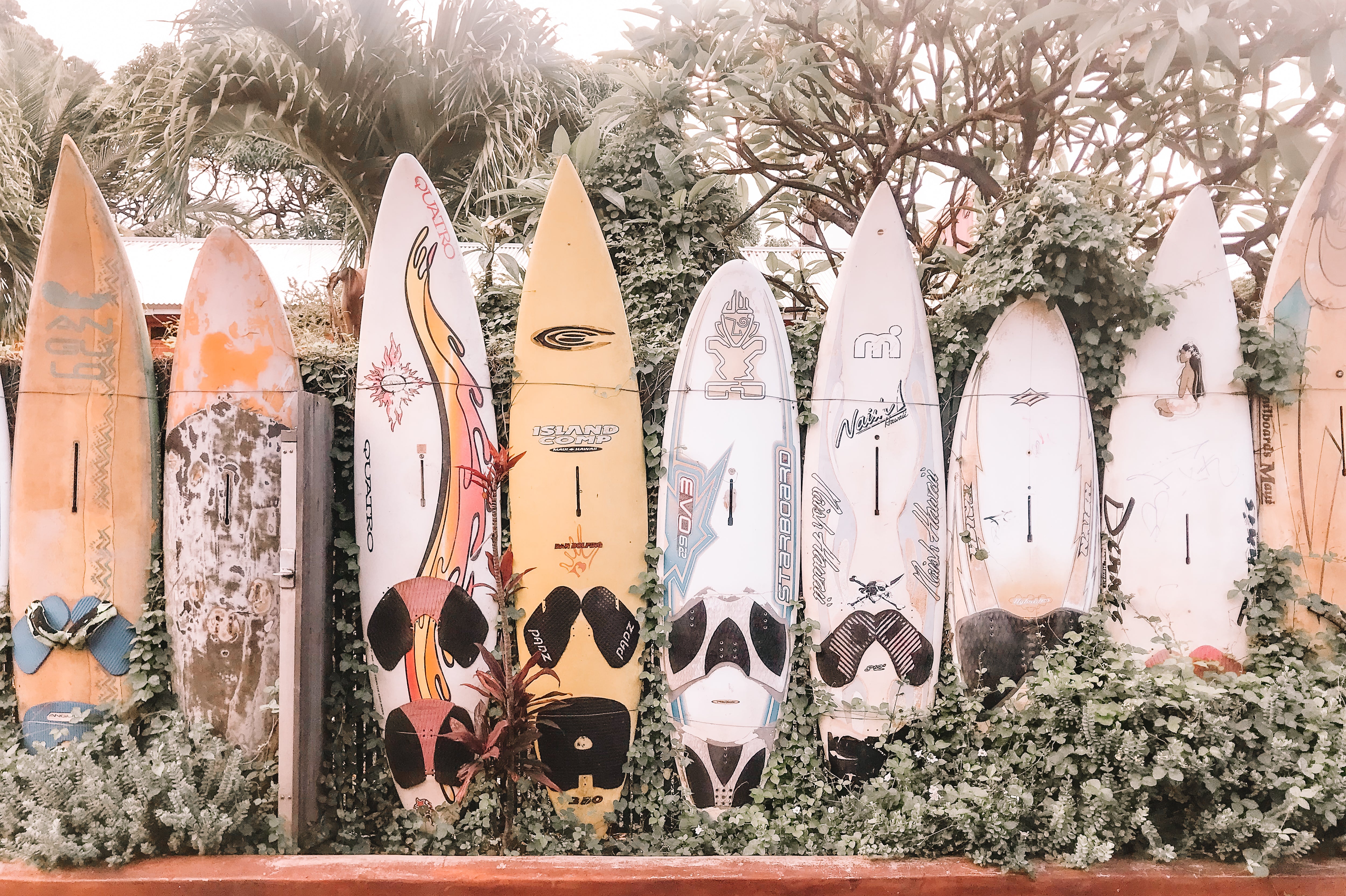 Maui Style, Jules Frazier Fine Art Photograph