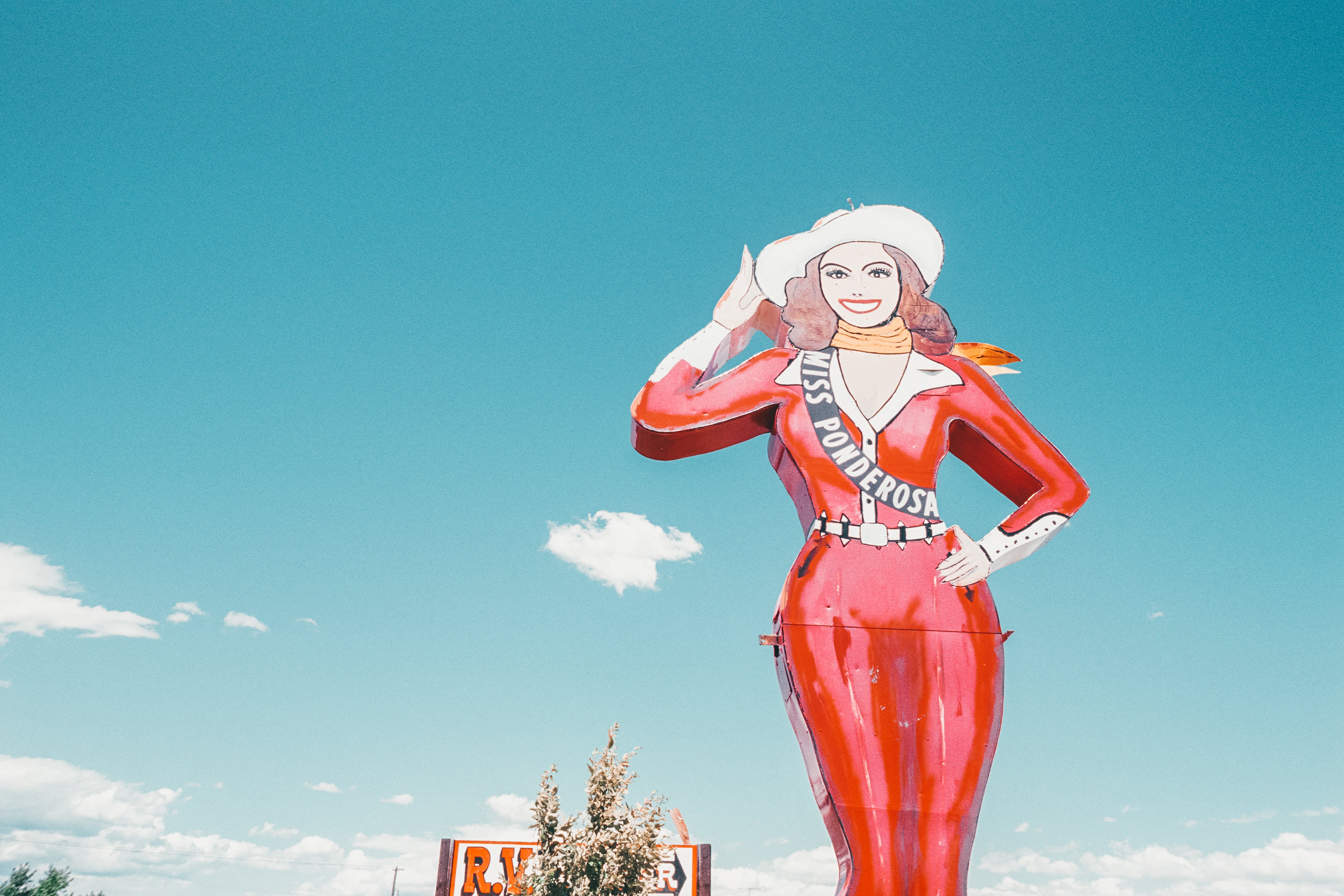 Miss Ponderosa, Jules Frazier Fine Art Photograph