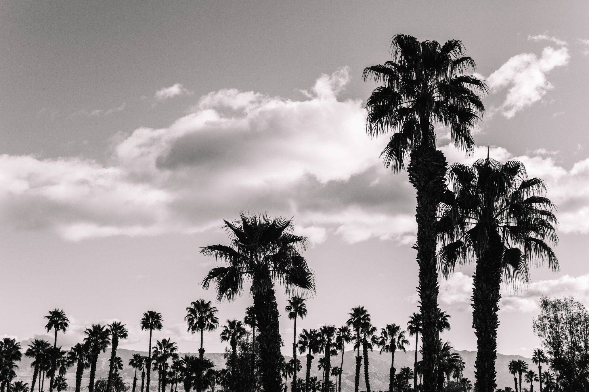  - Jules Frazier Fine Art Photographs