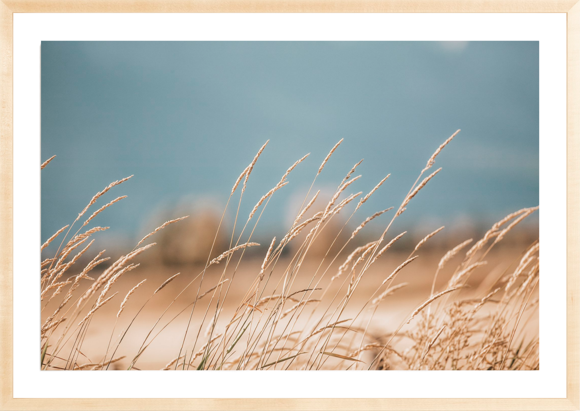 Grass of Yellowstone, Jules Frazier Fine Art Photograph
