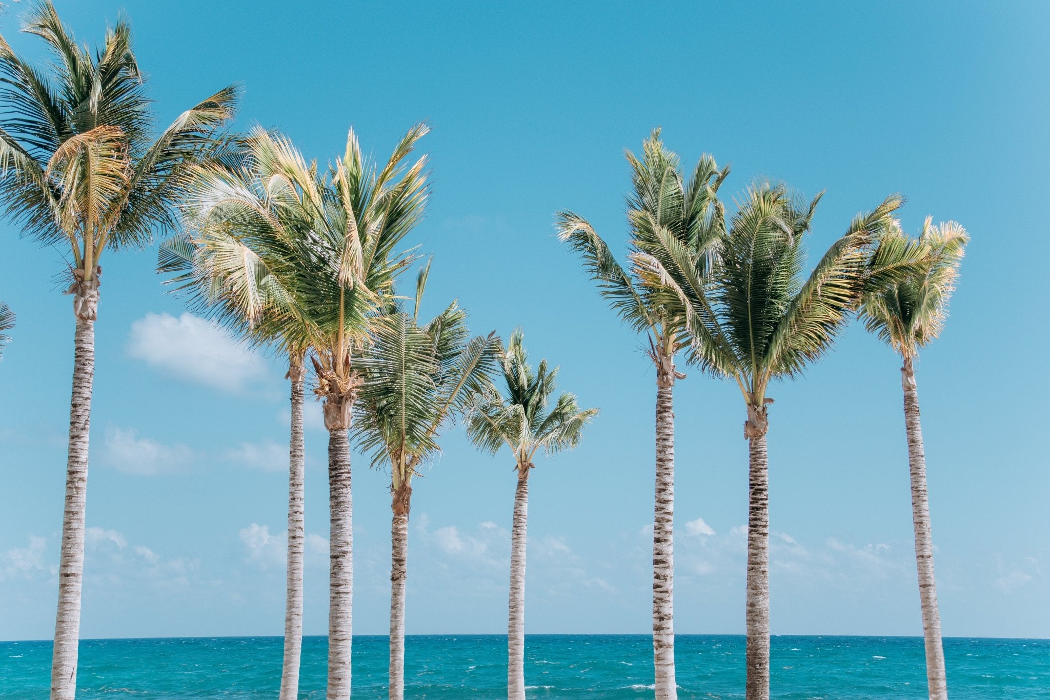 Tulum Vibes, Jules Frazier Fine Art Photograph