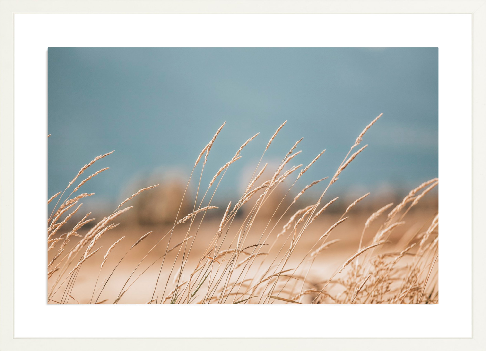 Grass of Yellowstone, Jules Frazier Fine Art Photograph
